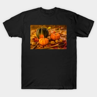 Fall Food 5 T-Shirt